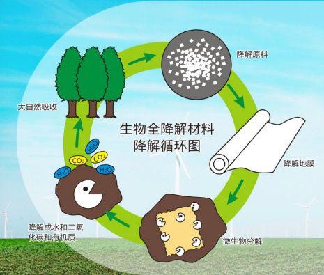 残膜之困 农膜使用与牧草安全的双重挑战